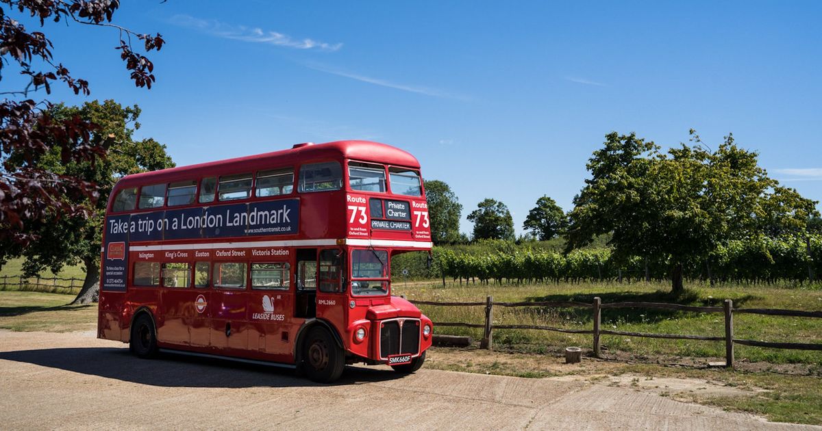 Sussex wine tours outlet